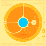 Lucid Dreaming Chart