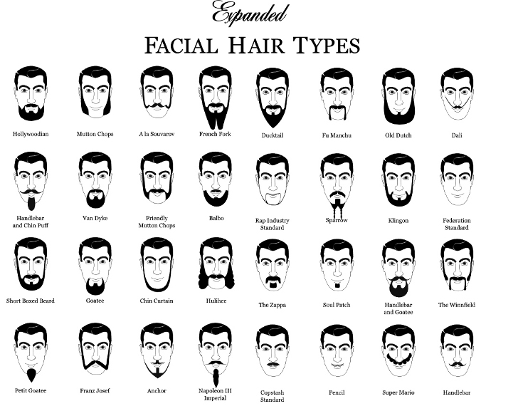 Beard Types Chart