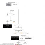 Bandersnatch Flowchart